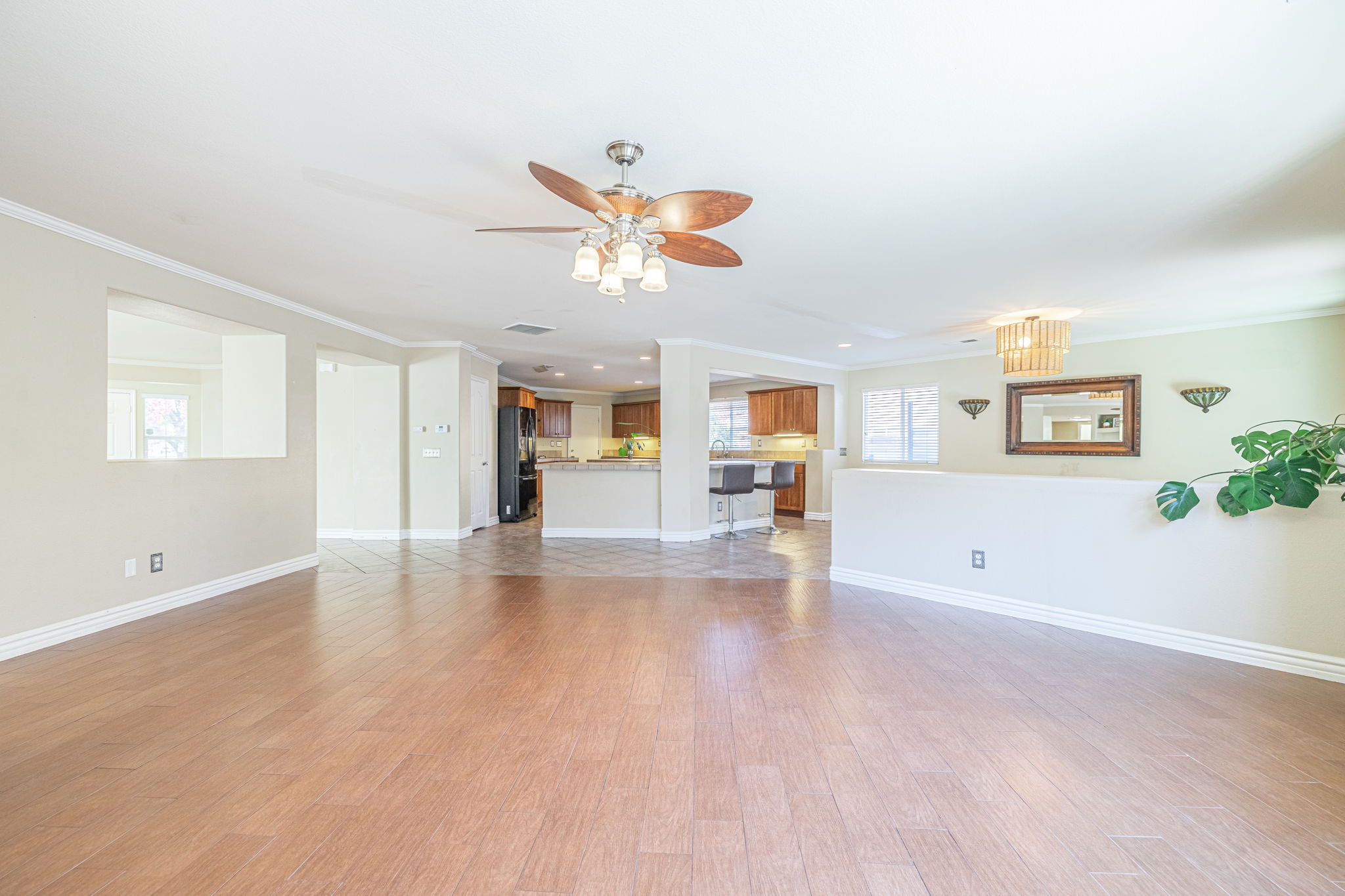 15-web-or-mls-AVOH--24