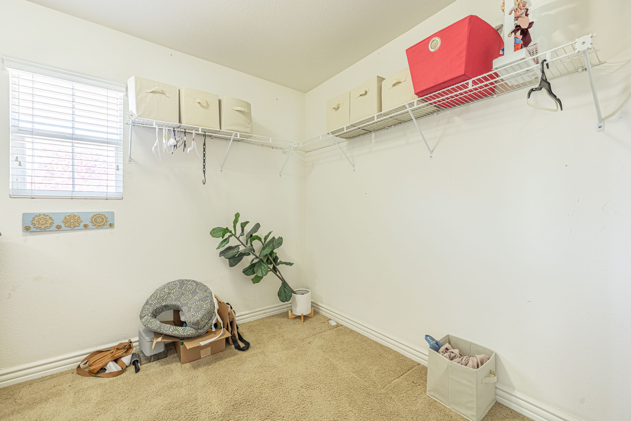 47-web-or-mls-AVOH--17(1)