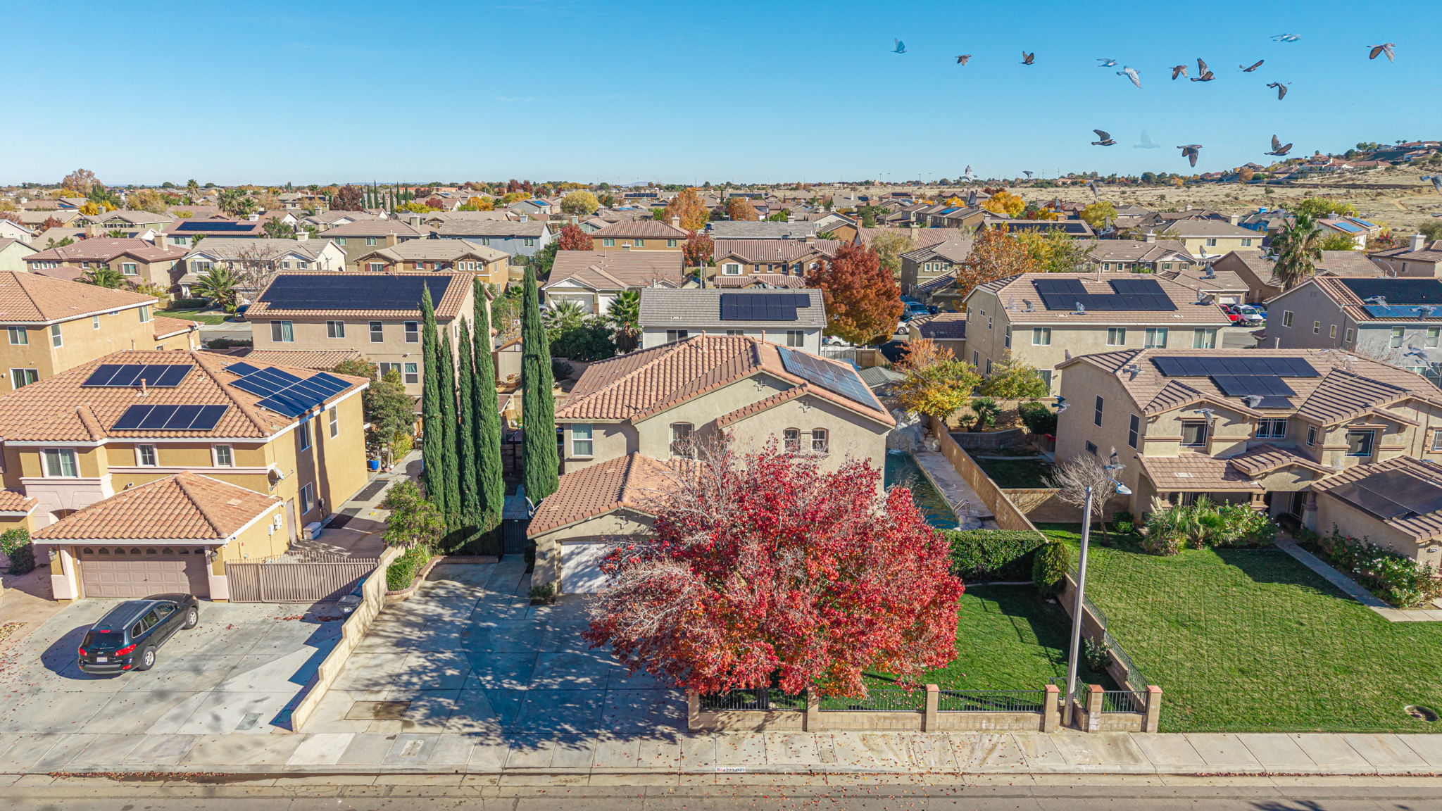 62-web-or-mls-AVOH--3